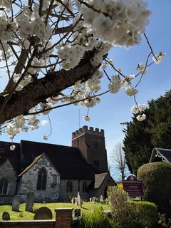 Mothering Sunday spring blossom