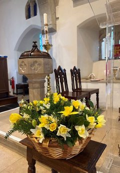 Daffodil posies on Mothering Sunday