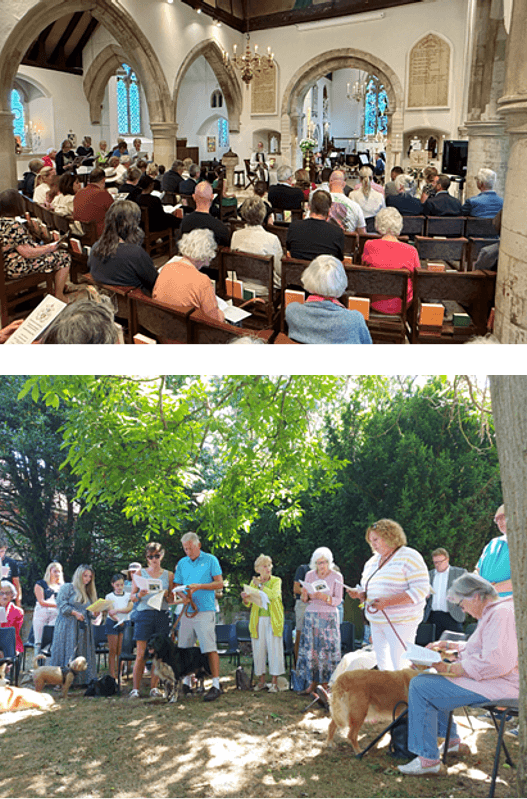 Home page image collated 2